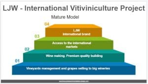 Mature Model of an international vitiviniculture projectl 